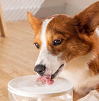 USB Electric Pet Water Fountain – 1L Automatic Cat Drinking Bowl with Filter